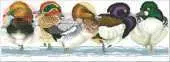 Wild Ducks by Jayne Netley Mayhew from Cross Stitch Gold 8 XSD