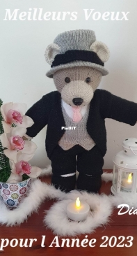 Happy New Year Teddy Bear