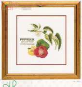 Thea Gouverneur TG3041 Paprika