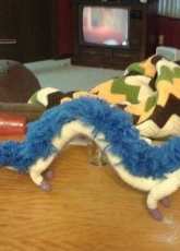 Haku the Chinese Dragon