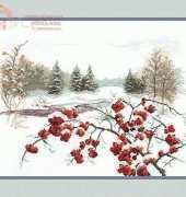 Charivna Mit M-54 Winter Mountain Ash