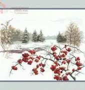 Charivna Mit M-54 Winter Mountain Ash