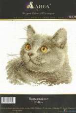 Alisa 0-134 - British Cat