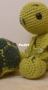 little turtle