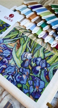 B444 Irises. Reproduction of Van Gogh