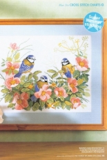 Bluetits by Lesley Teare from The World of Cross Stitching TWOCS 59 XSD
