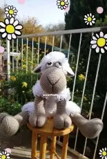Large sheep