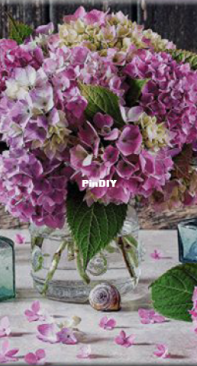 NaDiMa - G-210706 - Hydrangea