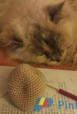 Sleeping