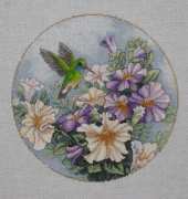 Dimensions hummingbirds
