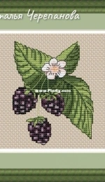 Blackberry by Natalia Cherepanova