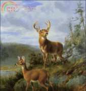 Golden Kite GK 1797 - Awake Rackquette Lake (small)