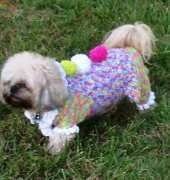 Luba Roytberg: Dog Clown Costume