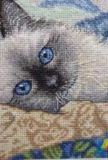 Dim - Cat