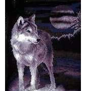 Panna J-0462 White Wolf