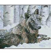 Kustom Krafts 22043 Bella Black Wolf XSD