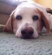 My baby!