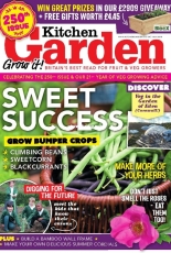 Kitchen Garden - July 2018