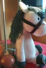 CABALLITO