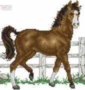 a happy horse
