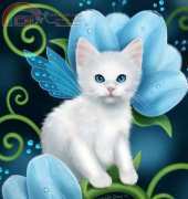 HAED HAEMED 1234 Aquamarine Cat by Melissa Dawn