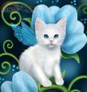 HAED HAEMED 1234 Aquamarine Cat by Melissa Dawn