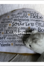histoire de lin - le nuage