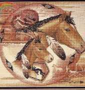 Dimensions 326 Tribal Ponies