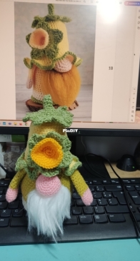 Daffodil gnome