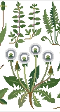 Gerda Bengtsson 30-4717 Plaintain