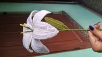 Made a Lily