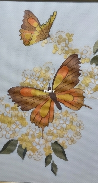 Butterflies
