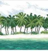 DMC Island Paradise