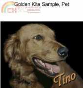 Golden Kite Sample Pet