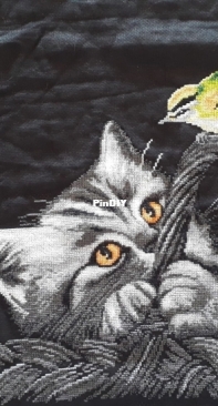 Cat / kitten with bird