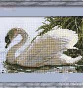 Riolis 417 Swan on Lake XSD