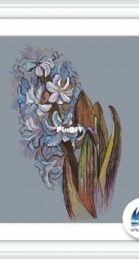 Hyacinth by Anna Ulchitskaya