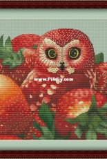 Strawberry Owl by Nadezhda Gavrilenkova