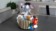 Rat