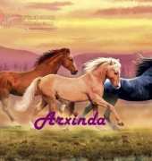 Arxinda- A Galope