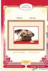 Zolotoe Runo NL-038 - Pug-dog