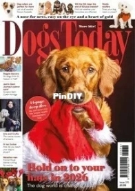 Dogs Today UK - Issue 376 - 2026