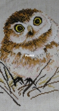 Oven/OBEH/Aries (Овен) 751 Owl