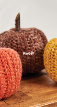Premier Yarns - Erin Fisher of On Fishers Hook - Ribbed Rind Pumpkin Set - Free