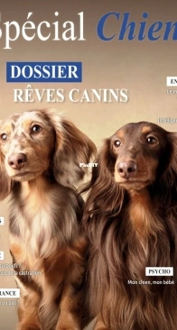 Spécial Chiens - No. 70 - February 2026 - French
