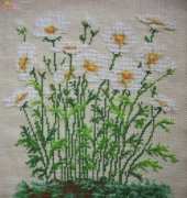 Anemonas
