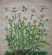 Anemonas