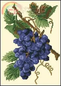 PC Studio 21 - Grapes