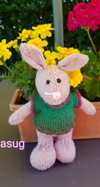 A bunny on hollidays !