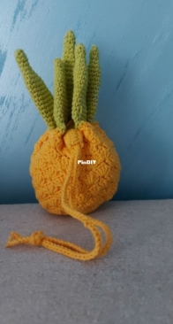 Pineapple pouch